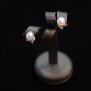Orecchini "leaf" in argento